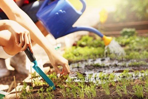 Landscape gardeners planning a garden redesign in Downham