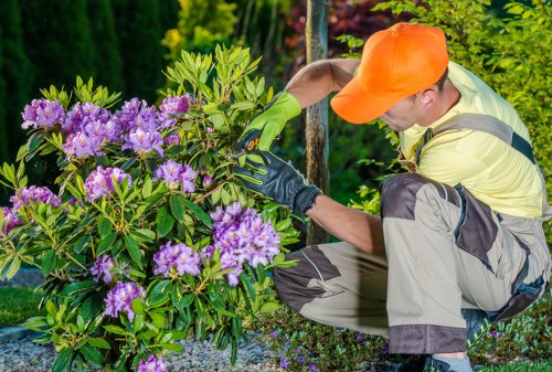 Cookie policy introduction for Landscapers Downham website