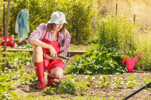 Policy review and continuous improvement for landscaping health and safety