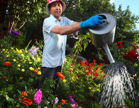Seasonal garden maintenance in Downham with hedges, plants, and clear pathways