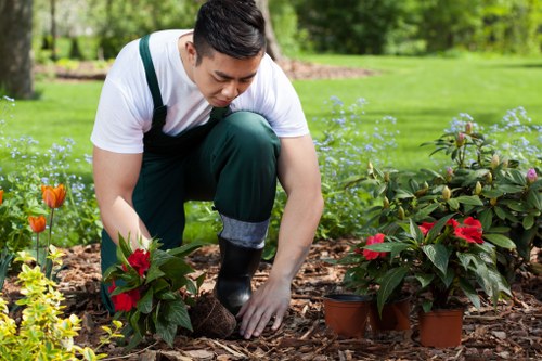 Fertilising and feeding a lawn in Downham for stronger growth
