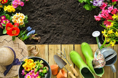 Seasonal grass cutting and lawn maintenance in Downham