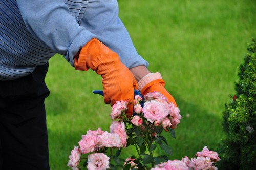 Downham lawn maintenance focusing on soil health and turf improvement