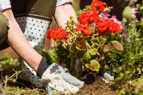 Professional garden clearance work including weeds and debris removal