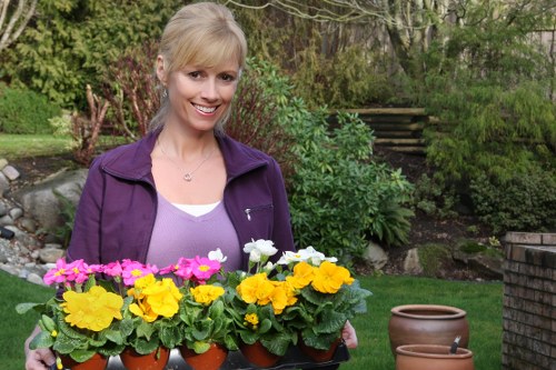 Landscaped outdoor space with planting services in Downham