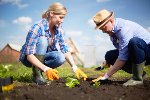Seasonal mowing and watering routine for lawn care in Downham
