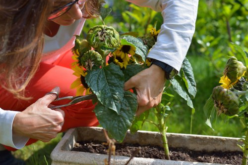 Seasonal planting beds created by Downham landscaping experts